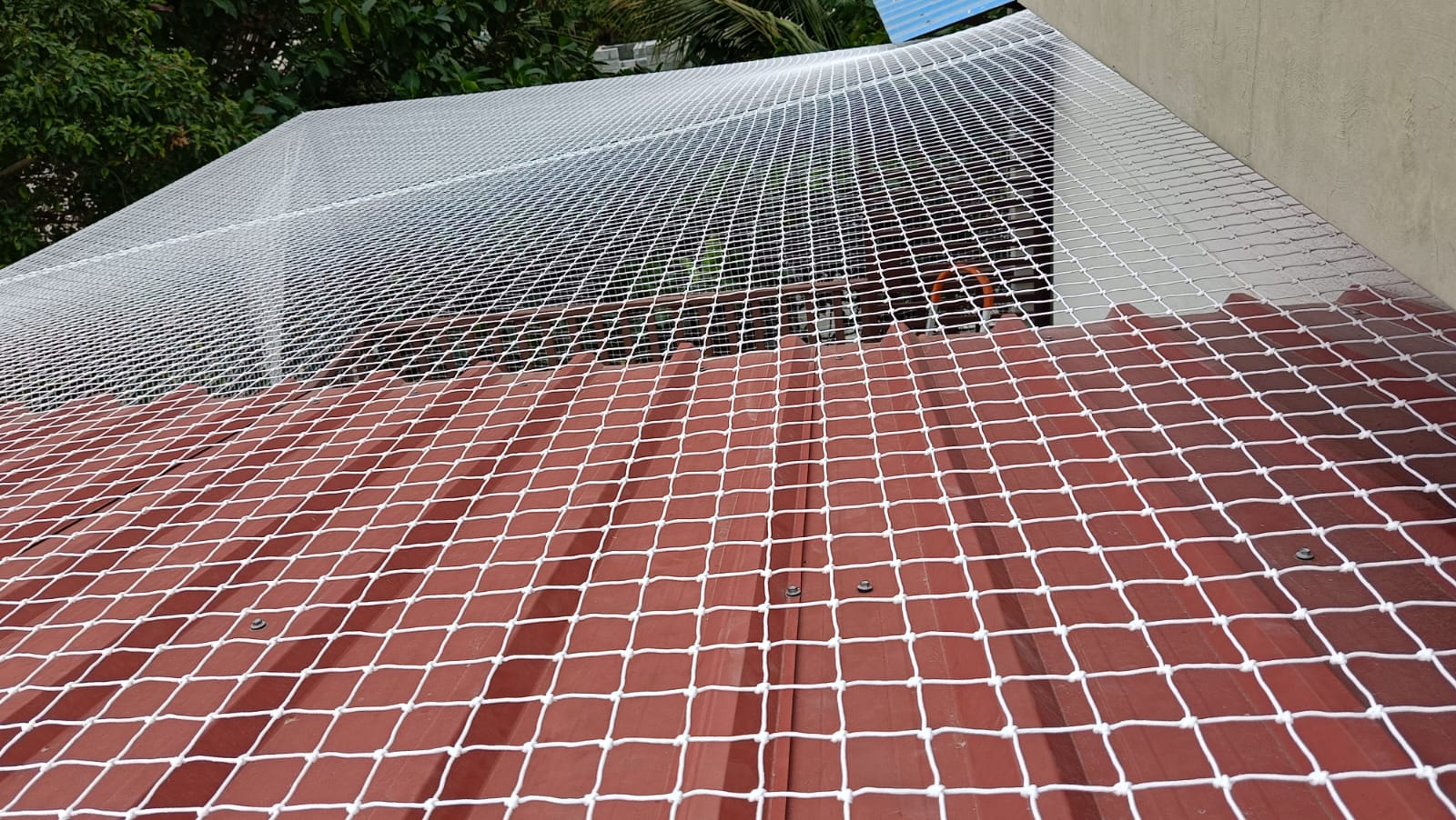 Bird Protection Nets Installation